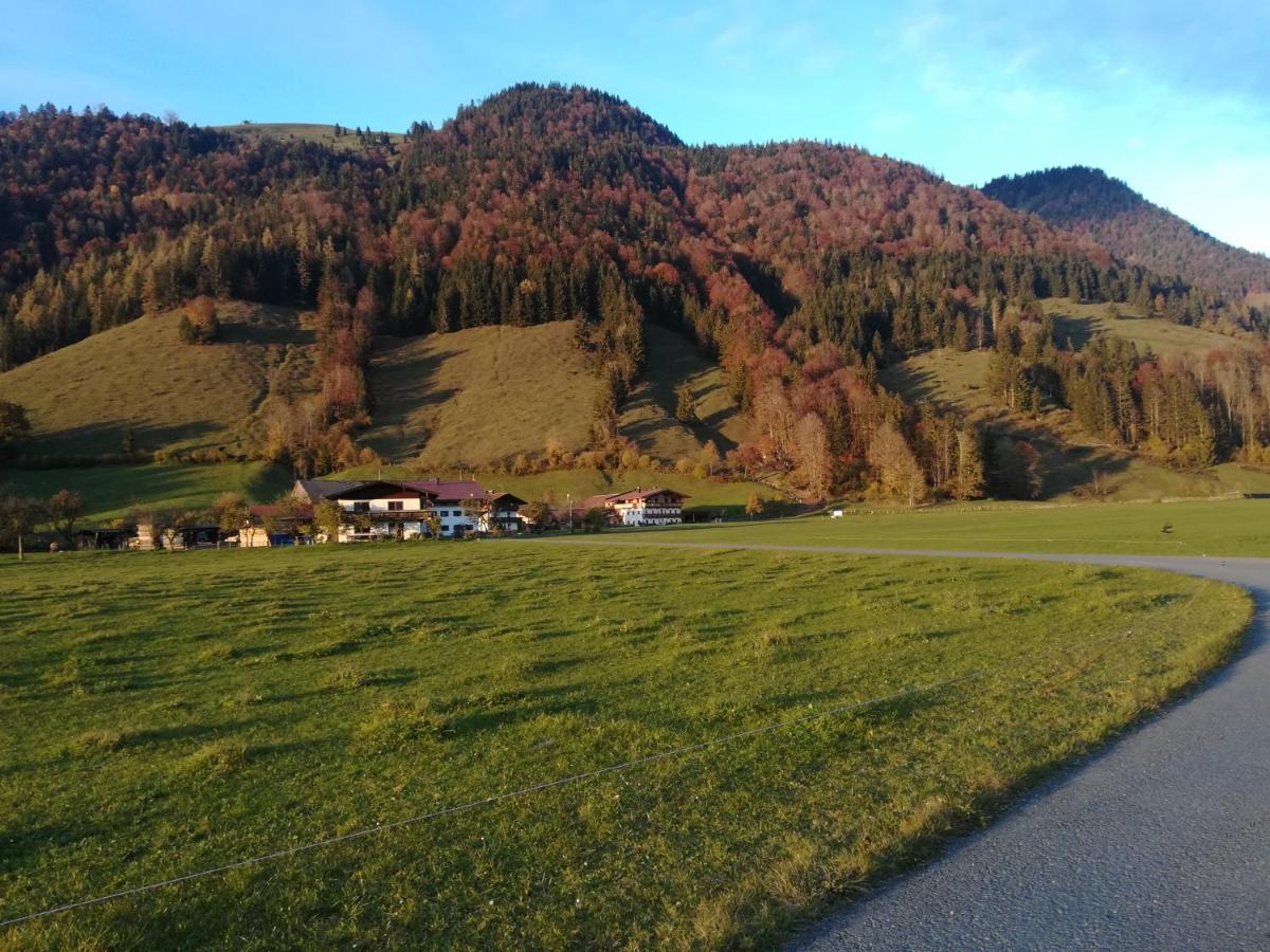 Bio- Bauernhof Obermaurach Apartment Walchsee Luaran gambar